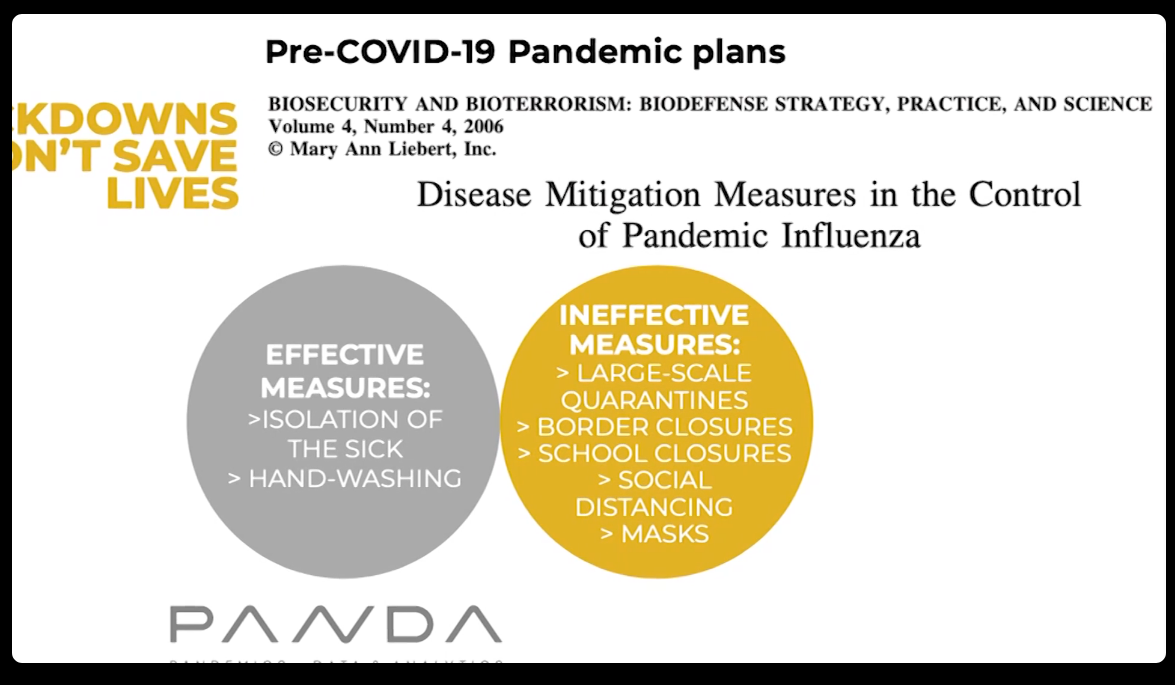 Pre-covidová opatření proti pandemii chřipky